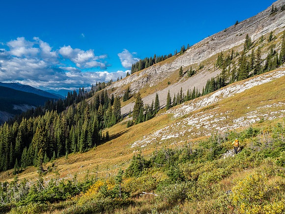 The traverse across the bottom of the south face of Gass was very pleasant. There was evidence of Grizzlies in these alpine meadows.