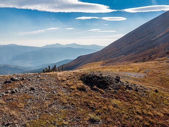 The fall color in the alpine meadows was sublime. Looking back at the sheep trail we used to access the north shoulder and west face of Beehive.