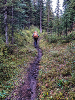 Hiking along a soaking wet GDT thanks to early morning showers.