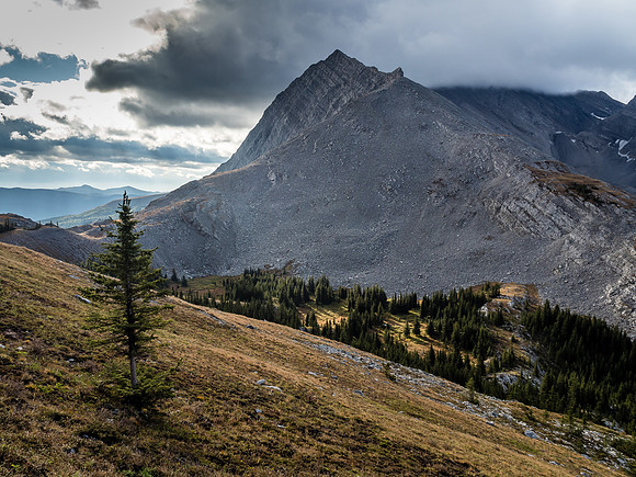 Looking back at an outlier of Lyall and the pass above the headwall at left.