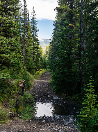 The Memory Lake Trail.