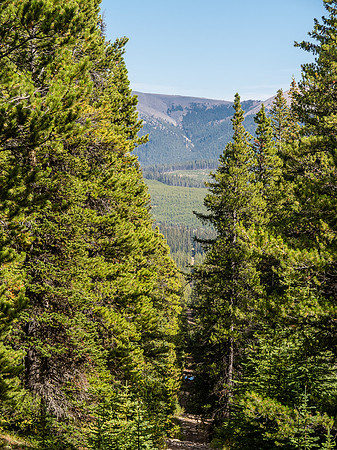 The Memory Lake Trail.
