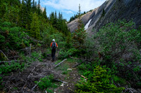 Hiking upper Whitegoat Creek.