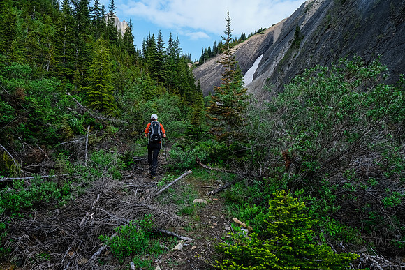 Hiking upper Whitegoat Creek.