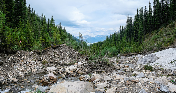 Hiking along the Whitegoat Creek trail.