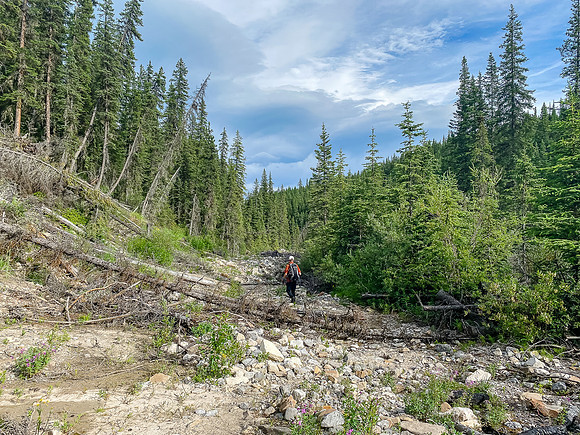 Hiking along the Whitegoat Creek trail.