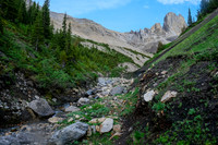 Hiking upper Whitegoat Creek. The OHV track goes right up the steep slope. We didn't.