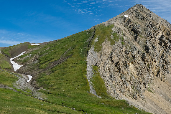 Littlehorn Meadow with Littlehorn Pass and Peak rising above.