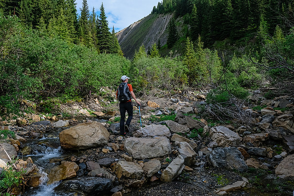 Hiking upper Whitegoat Creek.