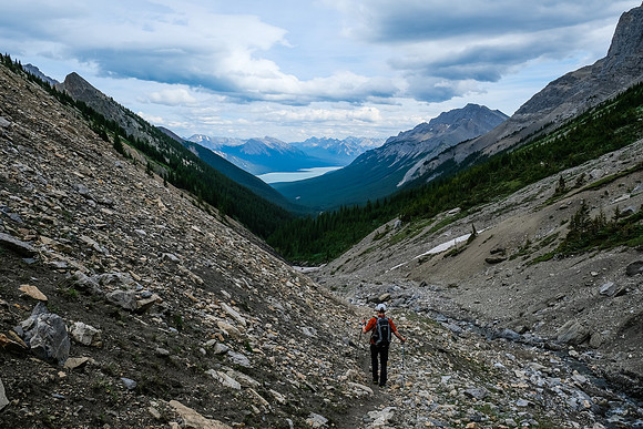 Hiking down into Whitegoat Creek.