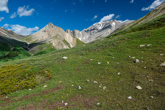 Traversing NW slopes of Littlehorn Peak towards the north branch of Littlehorn Creek and Hangman.