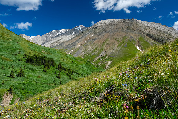 Traversing NW slopes of Littlehorn Peak towards the north branch of Littlehorn Creek and Hangman.