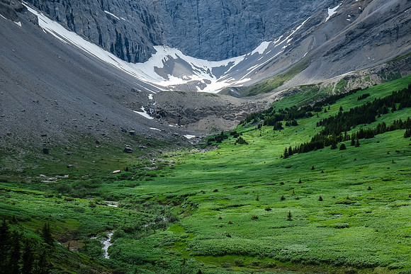 Lush meadows.