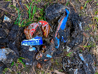 Odd bear scat. Got into someone's food stash, obviously.