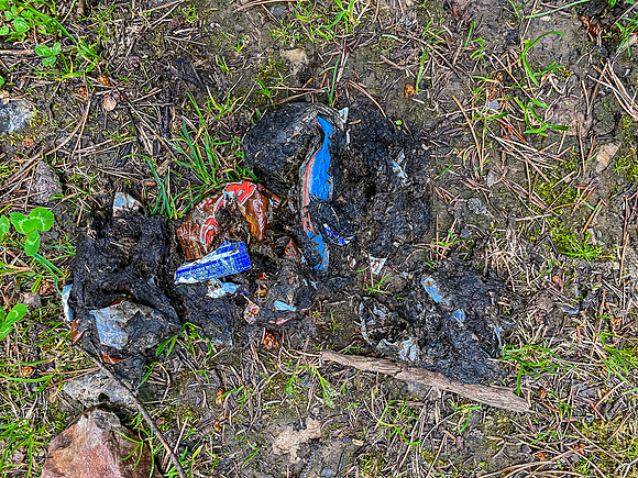 Odd bear scat. Got into someone's food stash, obviously.