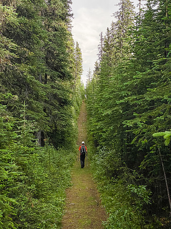 Hiking along the Whitegoat Creek trail.