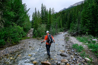Following ribbons through Whitegoat Creek.