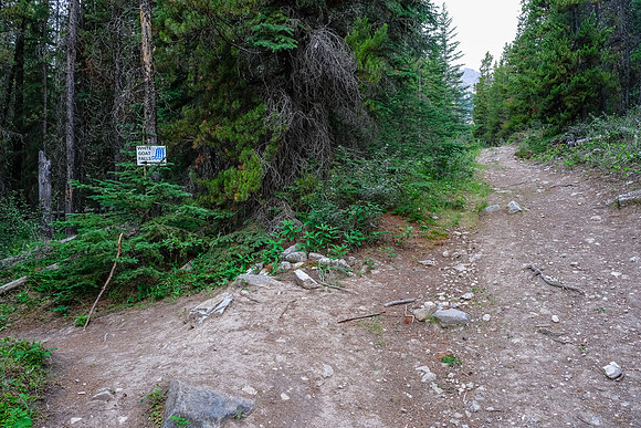 Whitegoat Falls doesn't seem that promising. We walked on past.