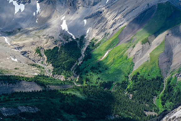 Valleys and meadows.