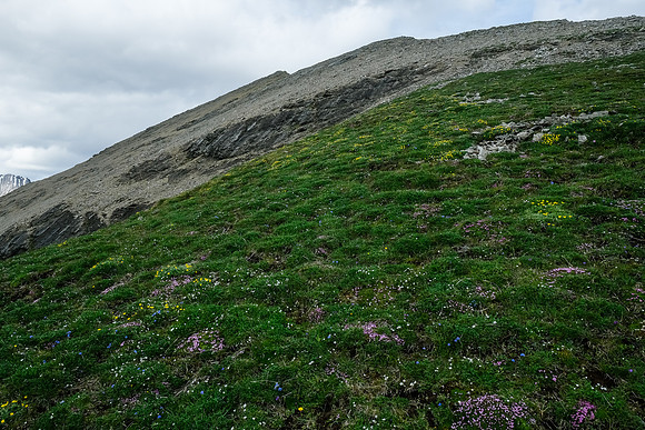 Scrambling Littlehorn Peak.
