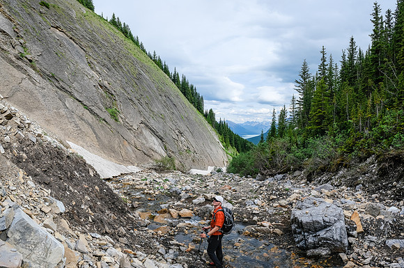 Hiking along the Whitegoat Creek trail.