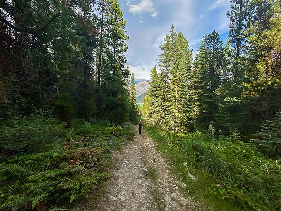 Hiking along the Whitegoat Creek trail.