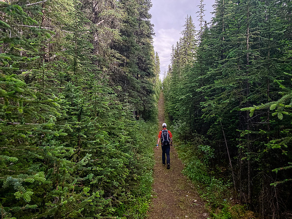 Hiking along the Whitegoat Creek trail.