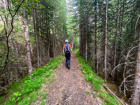 Hiking along the Whitegoat Creek trail.