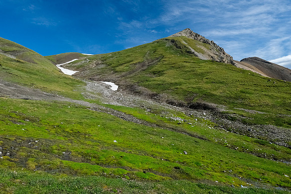 Littlehorn Meadow with Littlehorn Pass and Peak rising above.