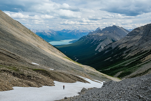 Hiking down into Whitegoat Creek.