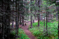 One of the large camps along the trail.