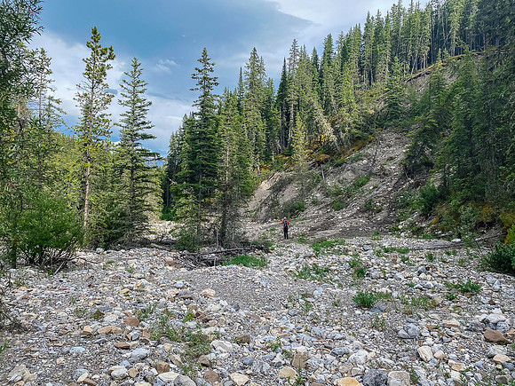 Hiking along the Whitegoat Creek trail.