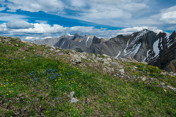 Descending Littlehorn Peak.
