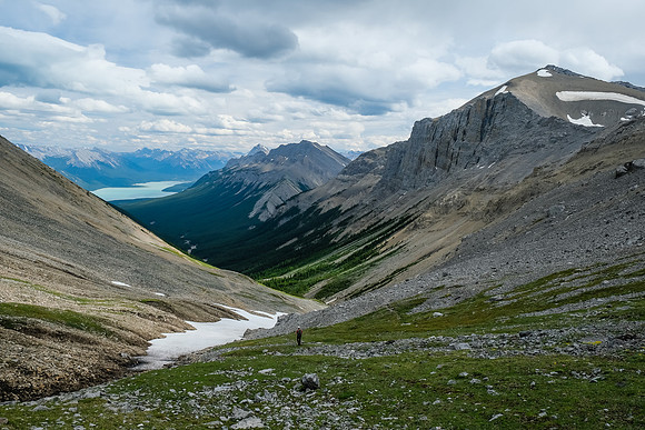 Hiking down into Whitegoat Creek.