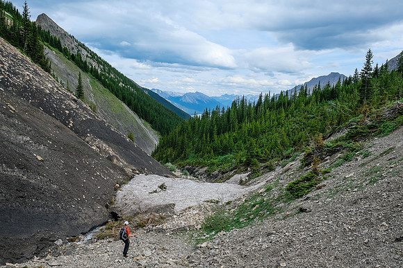 Hiking down into Whitegoat Creek.