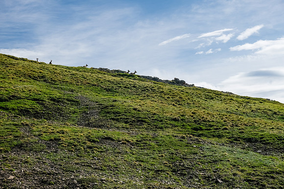 Ascending to Littlehorn Pass.