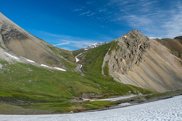 Littlehorn Meadow with Littlehorn Pass and Peak rising above.