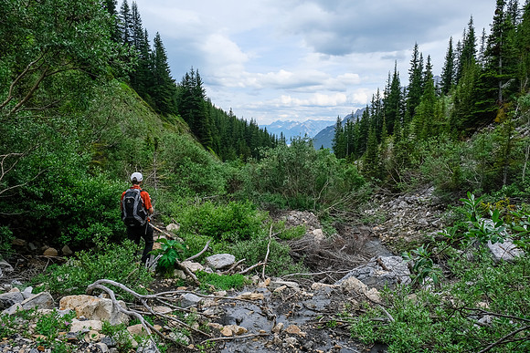 Hiking along the Whitegoat Creek trail.