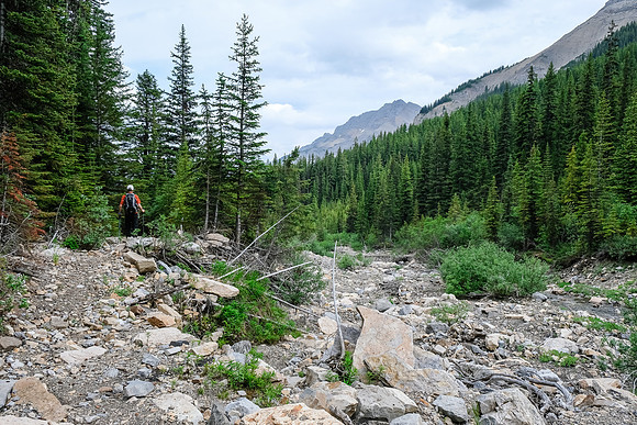 Hiking along the Whitegoat Creek trail.