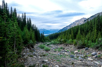 Looking back down the drainage towards Abraham Lake.