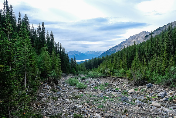 Looking back down the drainage towards Abraham Lake.