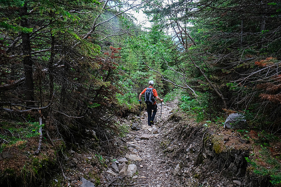 Hiking along the Whitegoat Creek trail.