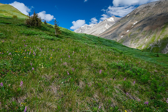 Traversing open meadows to the south bowl of Hangman Peak.