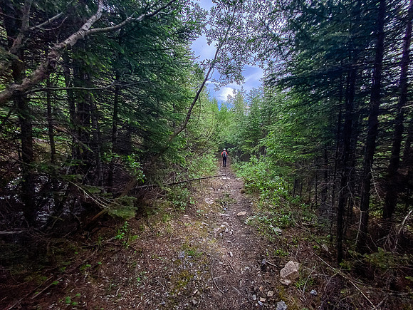 Hiking along the Whitegoat Creek trail.