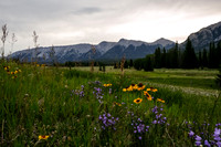 A photo from along hwy 11 to the parking lot showing the cloudy skies, flowers and William Booth.