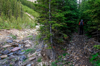 The creek at left and trail at right.