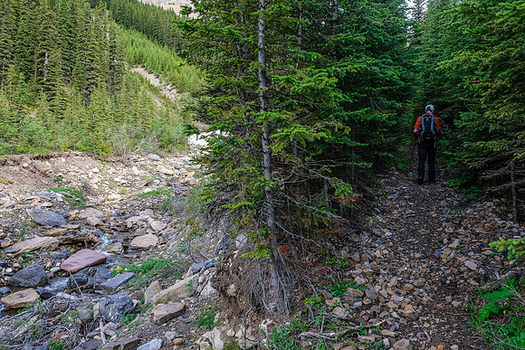 The creek at left and trail at right.