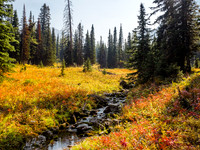 The meadows were on absolute fire with fall colors in the vegetation.