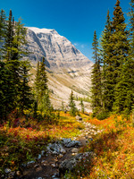 The meadows were on absolute fire with fall colors in the vegetation.