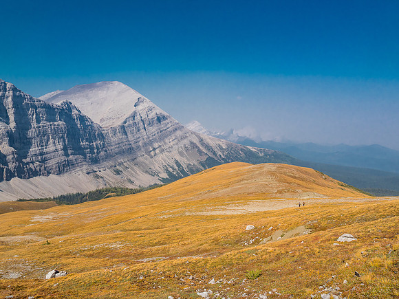 Wietse and Phil are pretty tiny in the expansive alpine meadows SE of Mount Lyall - which looks much closer than it is.